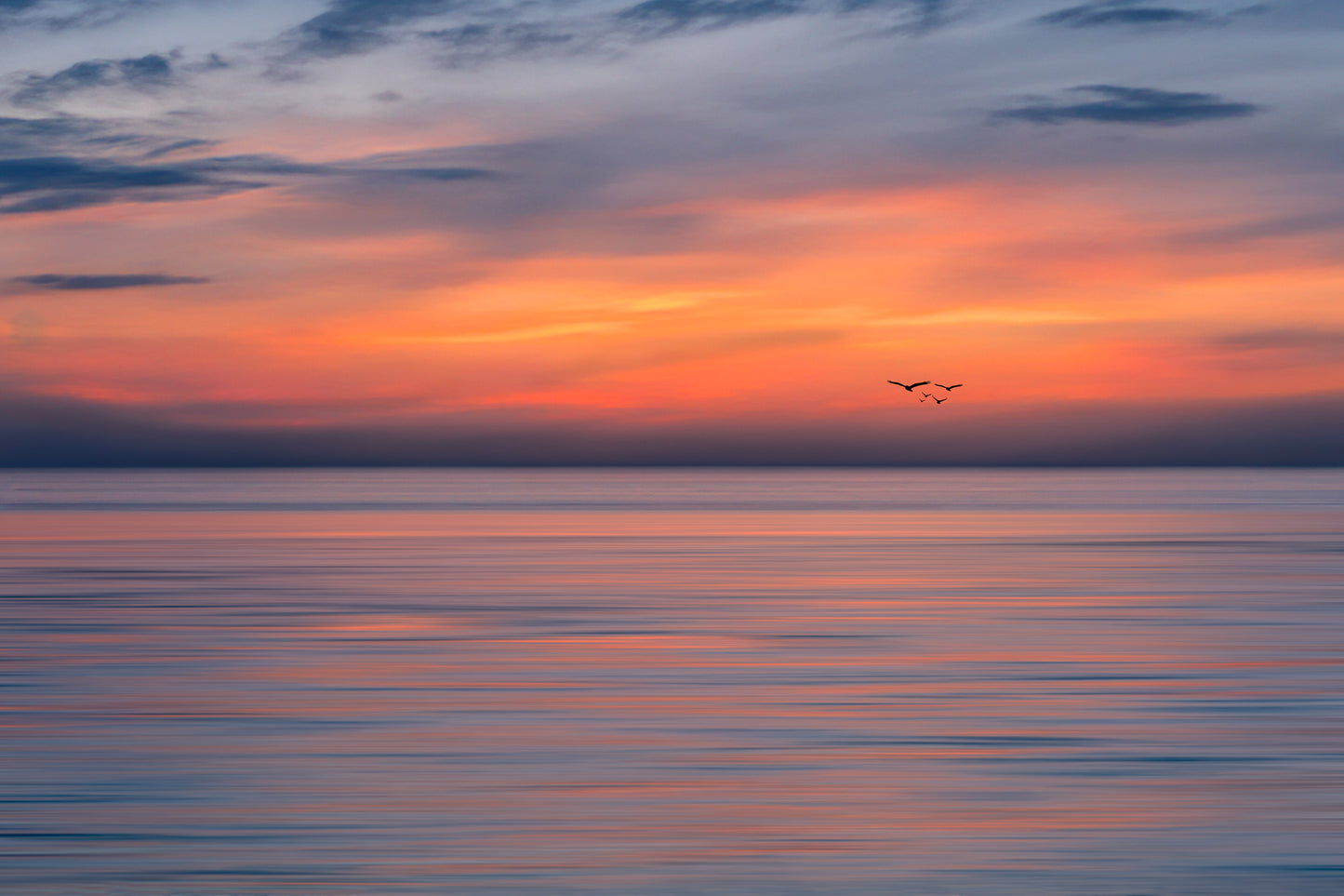 Horizon
