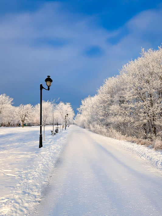 Chemin d'hiver