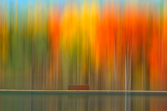 Les couleurs de l'automne